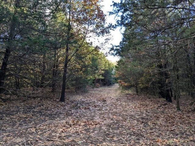 Pine Tree, Prairie Grove, AR 72758
