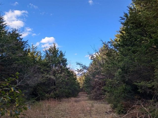 Pine Tree, Prairie Grove, AR 72758