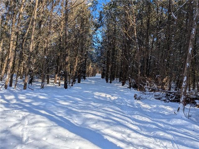 Pine Tree, Prairie Grove, AR 72758