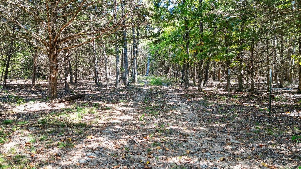 Pine Tree, Prairie Grove, AR 72758
