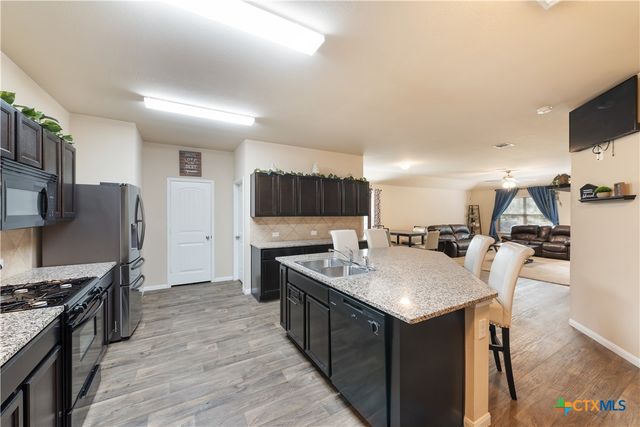 19408 Great Falls Drive, Manor, TX 78653