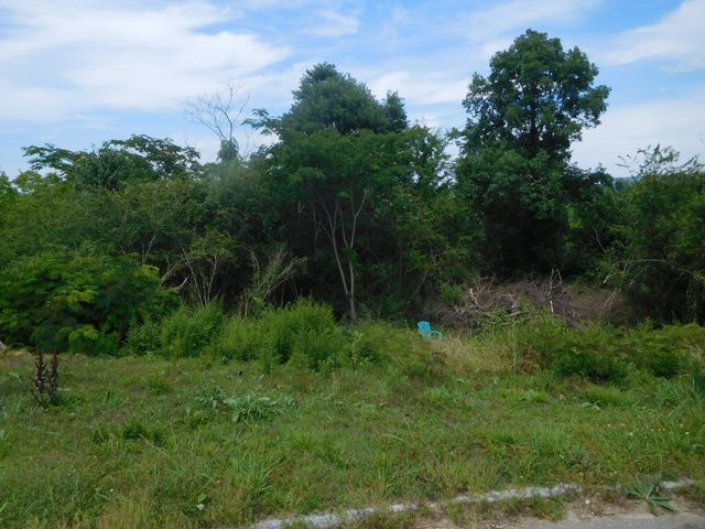 0 Rio Grande Road, Chattanooga, TN 37421