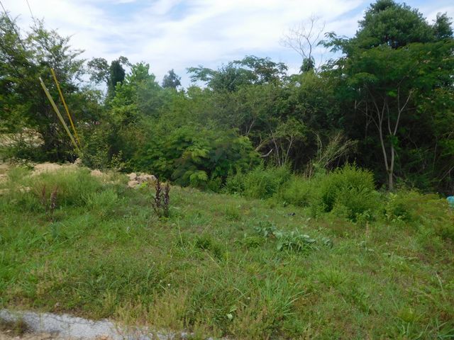 0 Rio Grande Road, Chattanooga, TN 37421