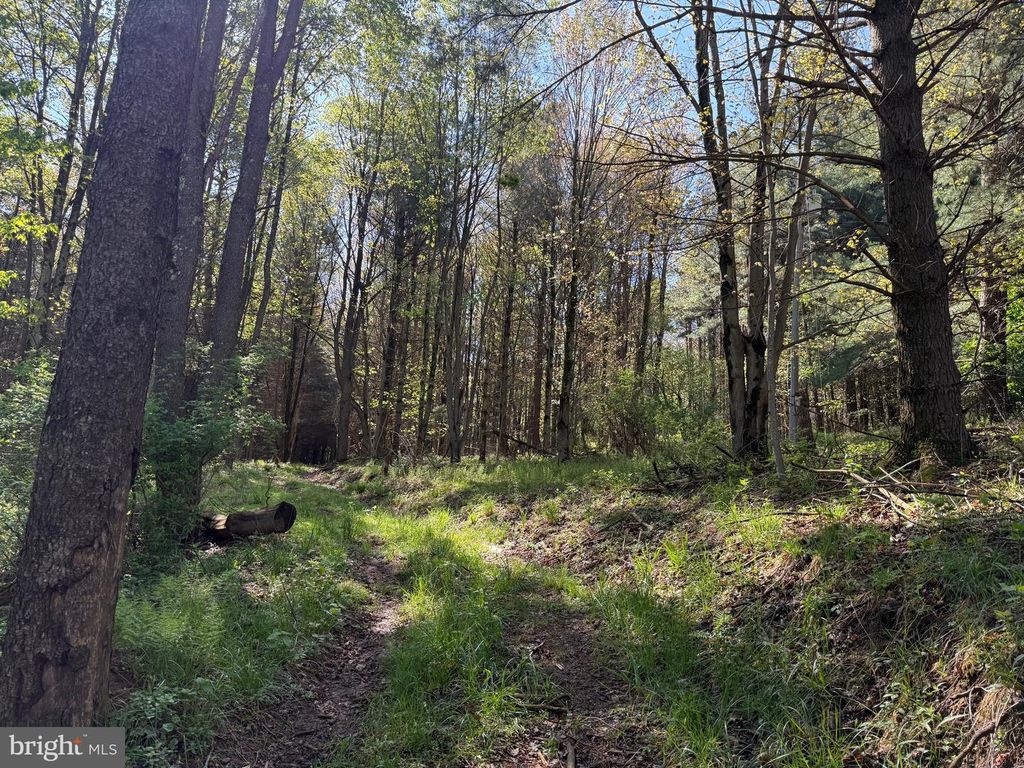 Image 46 of property listing at 2254 GARRETT RD, Oakland, MD 21550