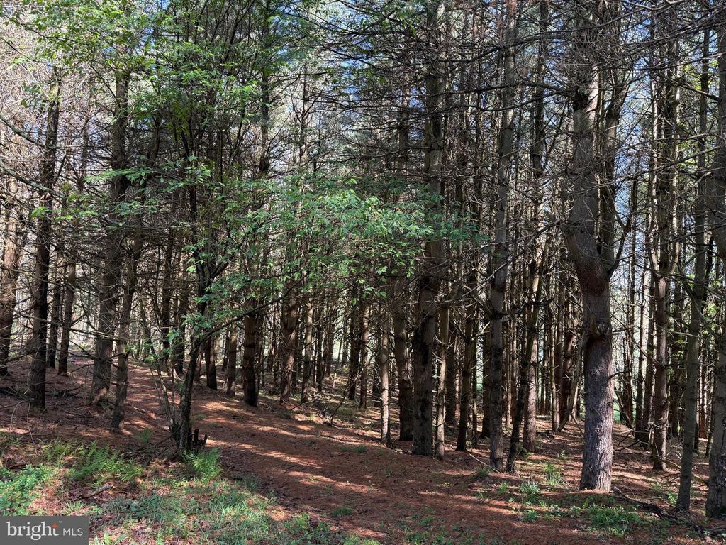 Image 47 of property listing at 2254 GARRETT RD, Oakland, MD 21550