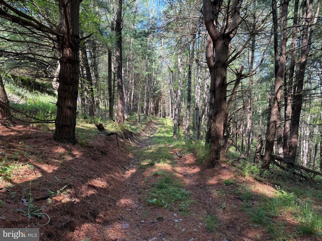 Image 48 of property listing at 2254 GARRETT RD, Oakland, MD 21550