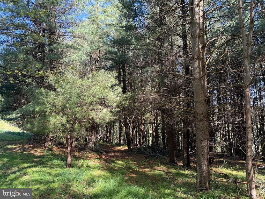 Image 49 of property listing at 2254 GARRETT RD, Oakland, MD 21550