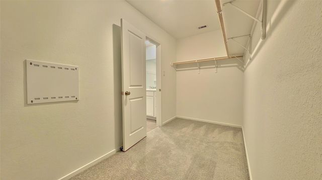 16806 Old Wagon Way, Hockley, TX 77447