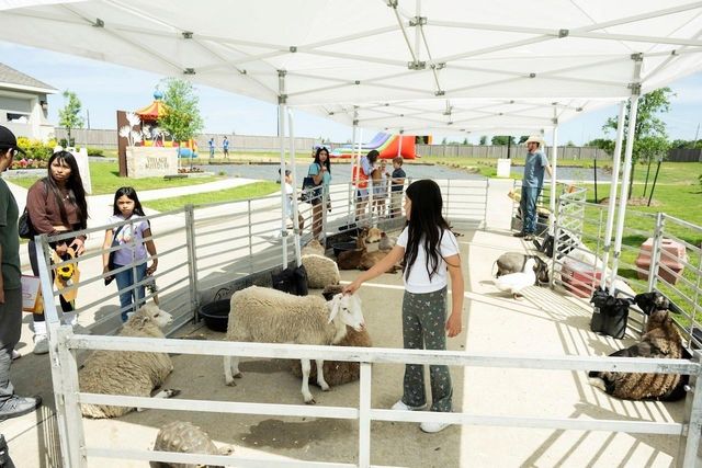 16806 Old Wagon Way, Hockley, TX 77447