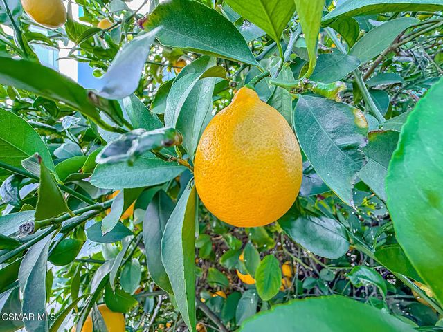 27361 Sierra Highway 266, Canyon Country, CA 91351