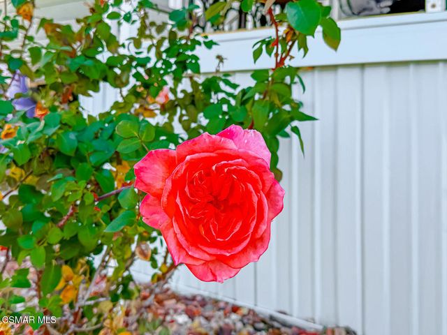 27361 Sierra Highway 266, Canyon Country, CA 91351