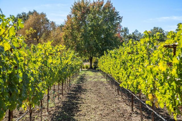 3033 Myrtledale Rd, Calistoga, CA 94515