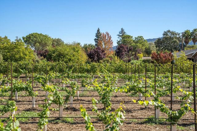 3033 Myrtledale Rd, Calistoga, CA 94515