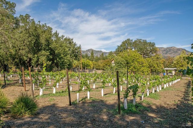 3033 Myrtledale Rd, Calistoga, CA 94515