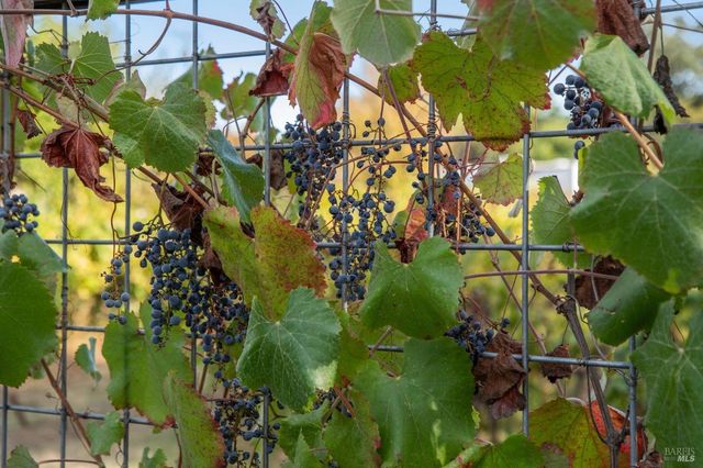 3033 Myrtledale Rd, Calistoga, CA 94515