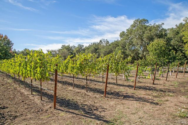 3033 Myrtledale Rd, Calistoga, CA 94515