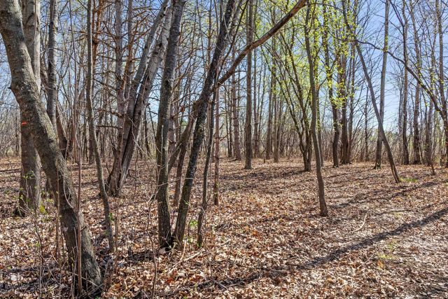 6730 165th Street N, Hugo, MN 55038