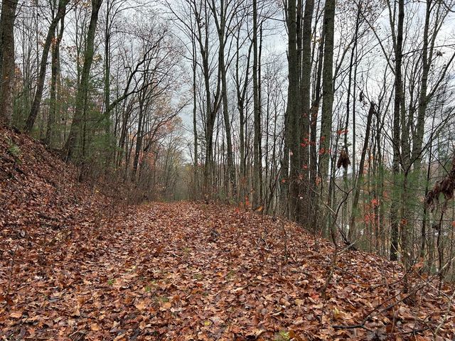 Lt12&13 Butternut Grove Road, Blairsville, GA 30512