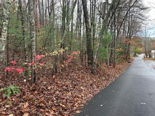 Lt12&13 Butternut Grove Road, Blairsville, GA 30512
