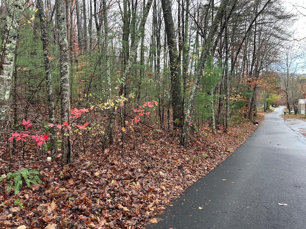 Lt12&13 Butternut Grove Road, Blairsville, GA 30512