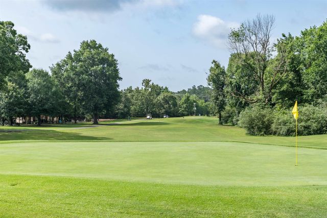 1 Versalles Lane, Hot Springs Village, AR 71909