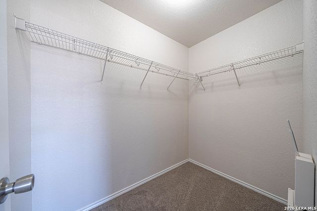 230 Hallie Cove, San Antonio, TX 78227