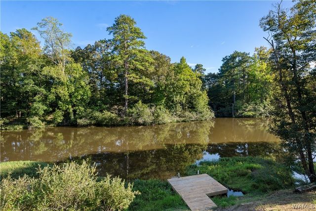 14148 River Point, Tuscaloosa, AL 35405