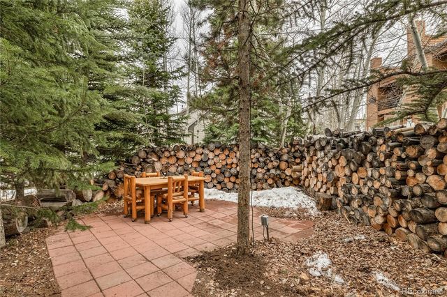53 Burgundy Circle A, Silverthorne, CO 80498