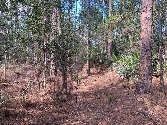 4205 QUAIL RANCH ROAD, New Smyrna Beach, FL 32168