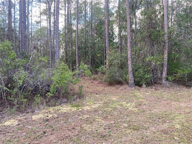 4205 QUAIL RANCH ROAD, New Smyrna Beach, FL 32168