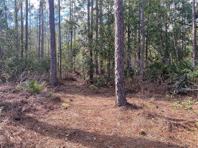 4205 QUAIL RANCH ROAD, New Smyrna Beach, FL 32168