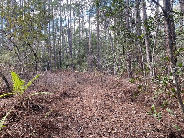 4205 QUAIL RANCH ROAD, New Smyrna Beach, FL 32168
