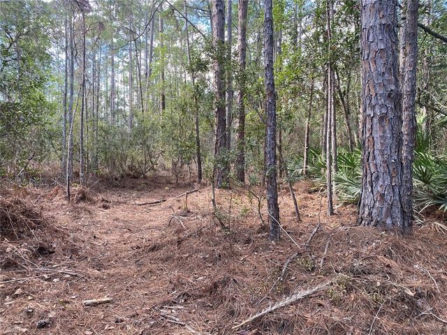 4205 QUAIL RANCH ROAD, New Smyrna Beach, FL 32168