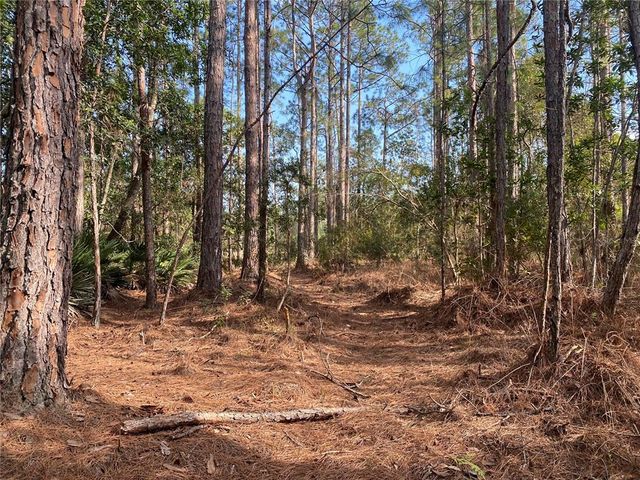 4205 QUAIL RANCH ROAD, New Smyrna Beach, FL 32168