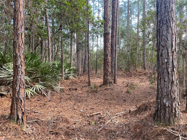 4205 QUAIL RANCH ROAD, New Smyrna Beach, FL 32168