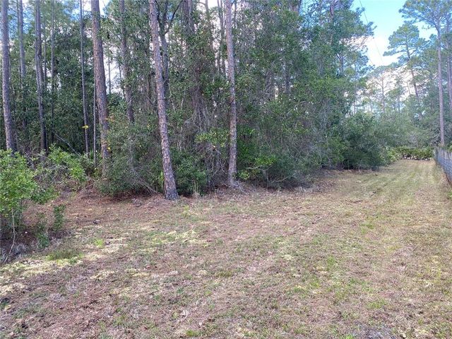 4205 QUAIL RANCH ROAD, New Smyrna Beach, FL 32168