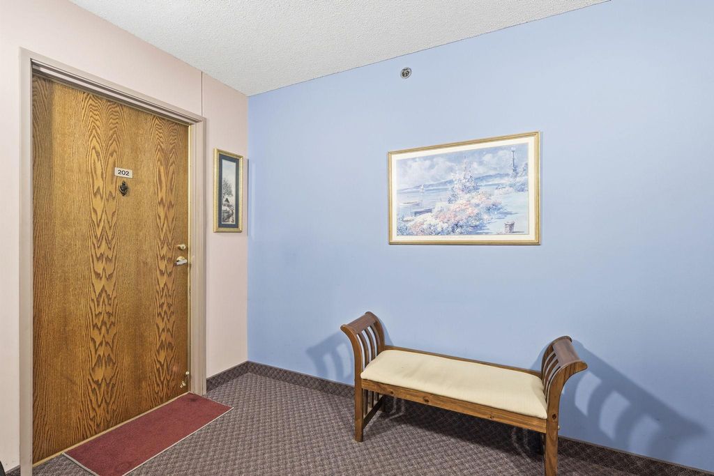 32 11th Avenue S 202, Hopkins, MN 55343 — photo 2
