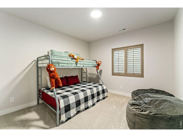 5018 Leopold Ln, Timnath, CO 80547