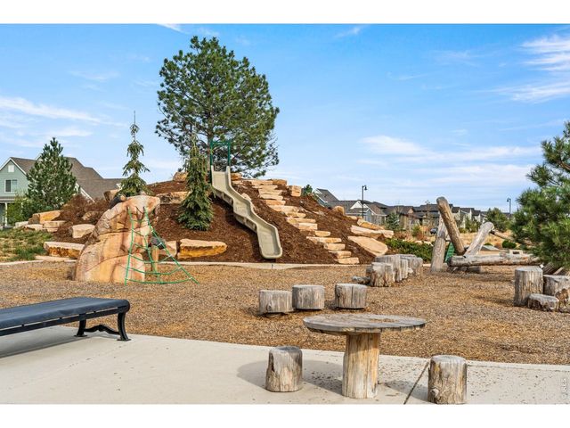 5018 Leopold Ln, Timnath, CO 80547