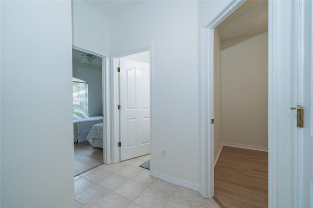 8210 CANARY CANYON WAY, Tampa, FL 33647