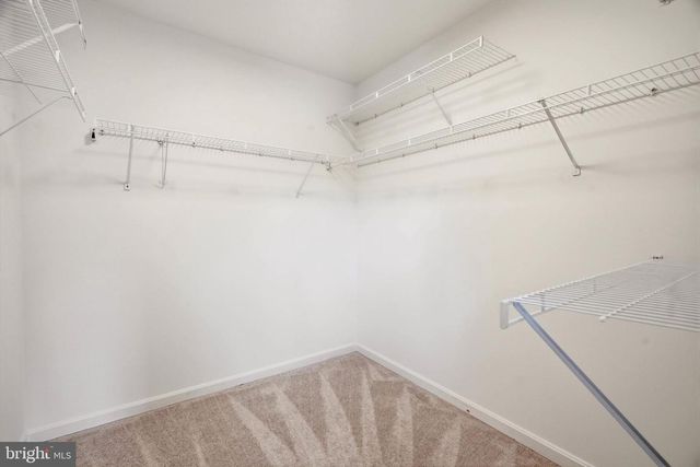 10209 LAWNMARKET CT, Ellicott City, MD 21042