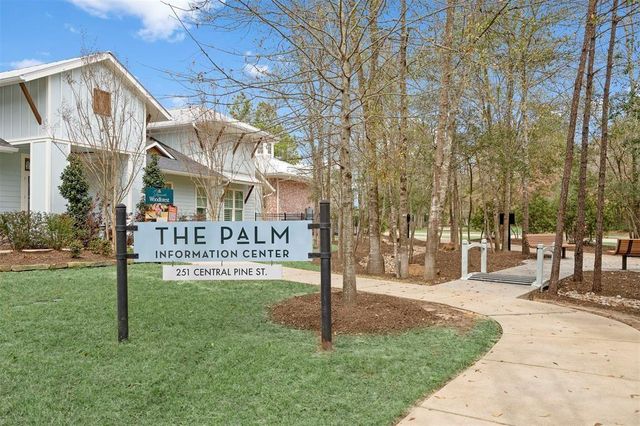 118 Forest Elk Place, Montgomery, TX 77316