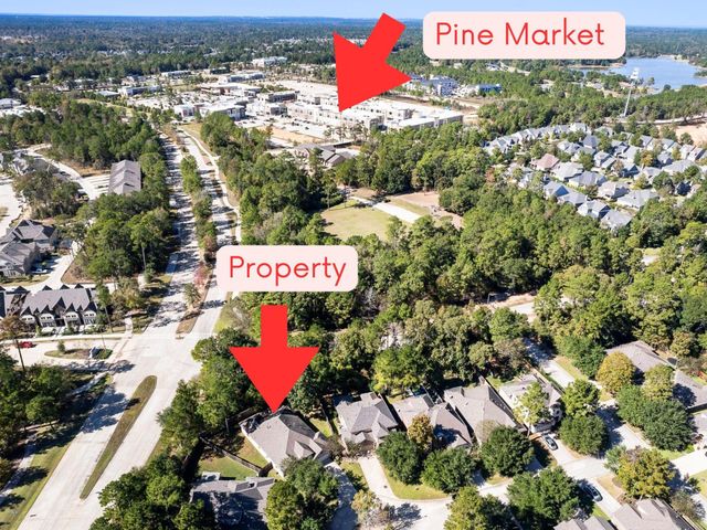 118 Forest Elk Place, Montgomery, TX 77316