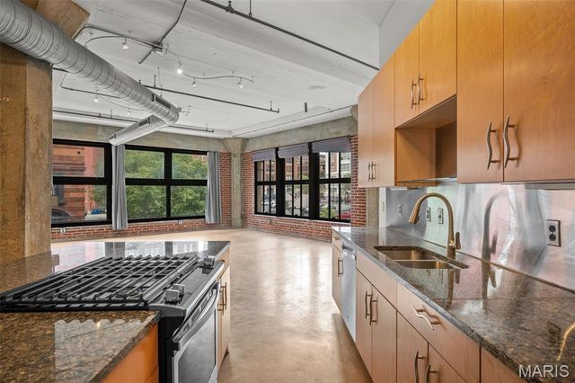 1619 Washington Avenue 204, St Louis, MO 63103