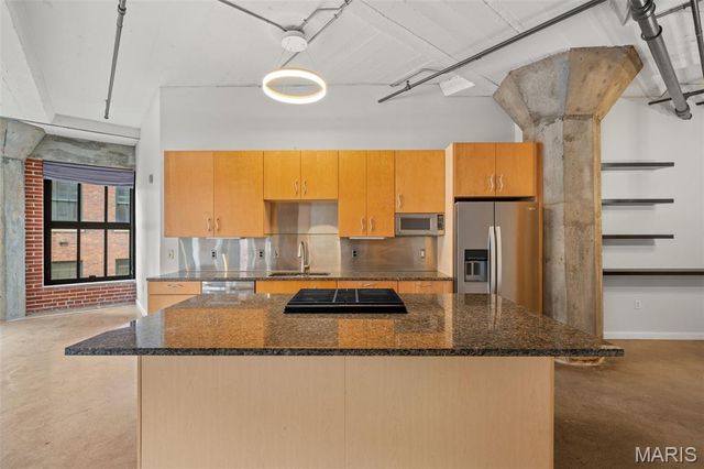 1619 Washington Avenue 204, St Louis, MO 63103