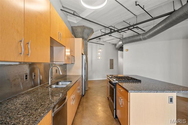 1619 Washington Avenue 204, St Louis, MO 63103