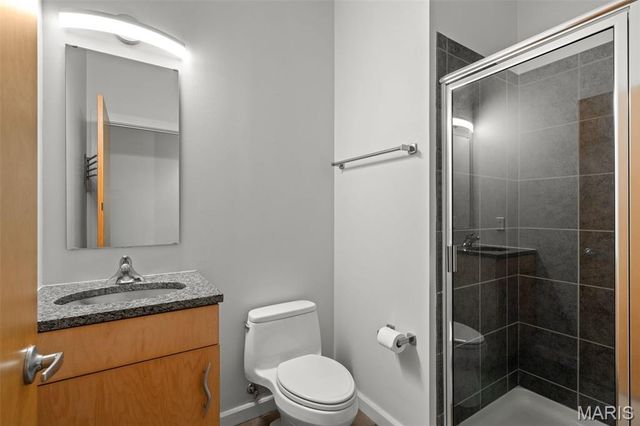 1619 Washington Avenue 204, St Louis, MO 63103