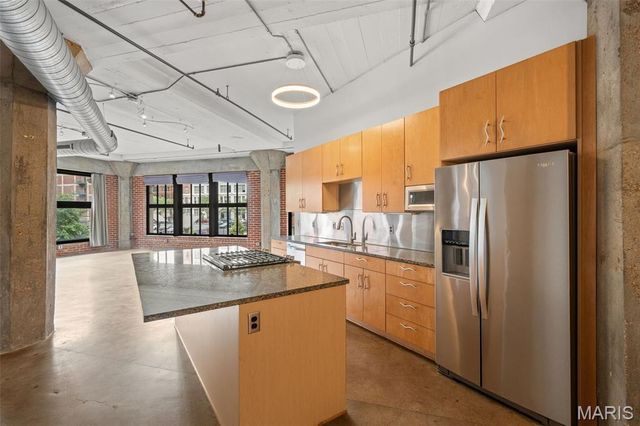 1619 Washington Avenue 204, St Louis, MO 63103