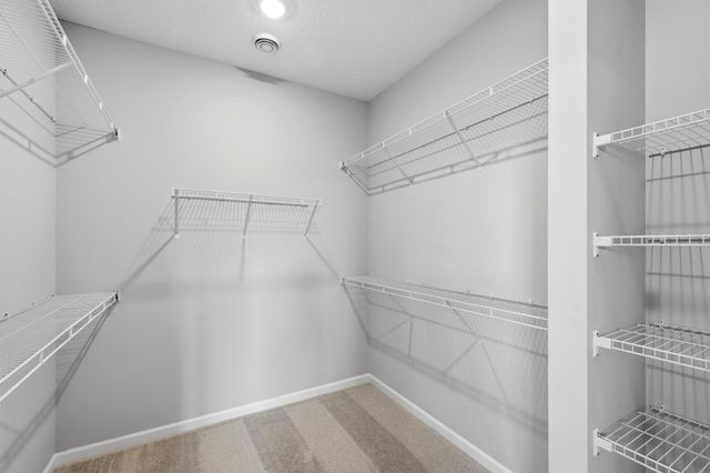 8004 Xyloid Lane, Corcoran, MN 55340