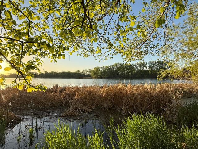 13180 Willandale Road, Rogers, MN 55374